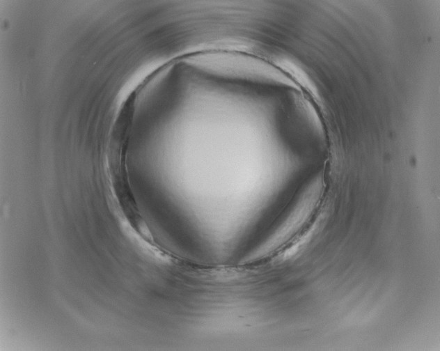 X0000070240952200606231939