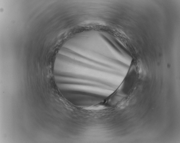 X0000070240965200606231939
