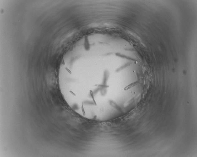 X0000070240966200606231939