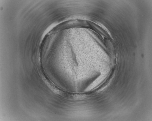 X0000070240981200606231938