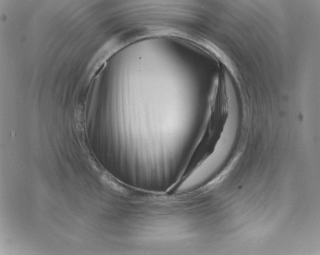 X0000070241001200606231938