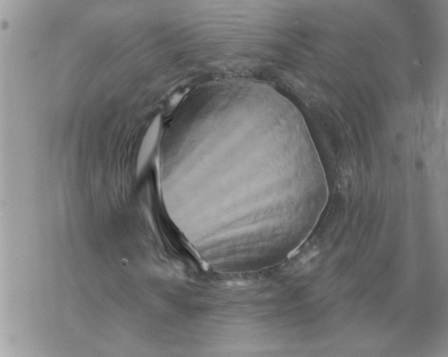 X0000070241010200606231937