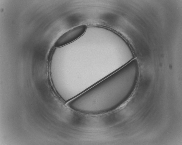 X0000070241075200606231937