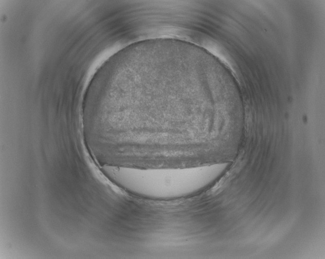 X0000070241088200606231937