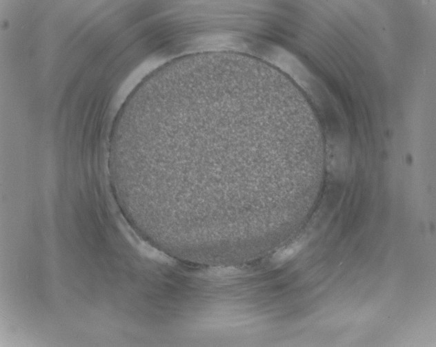 X0000070241094200606231937