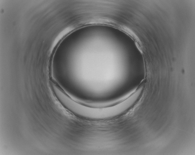 X0000070241138200606231936