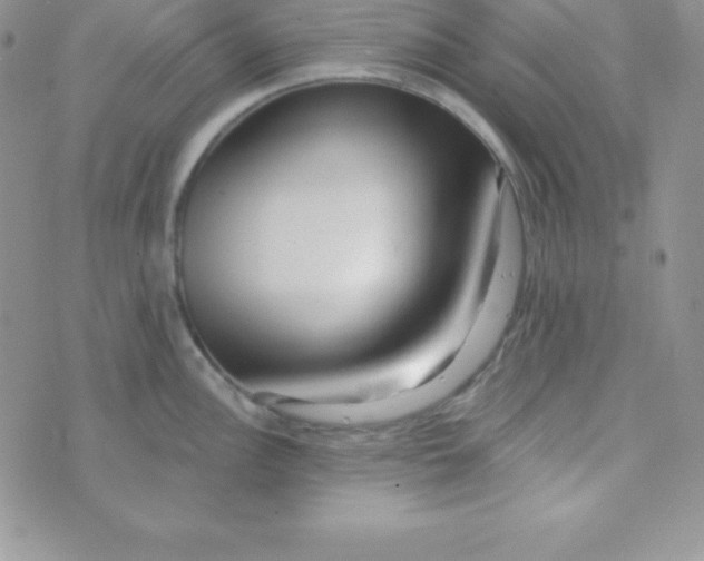 X0000070241148200606231936