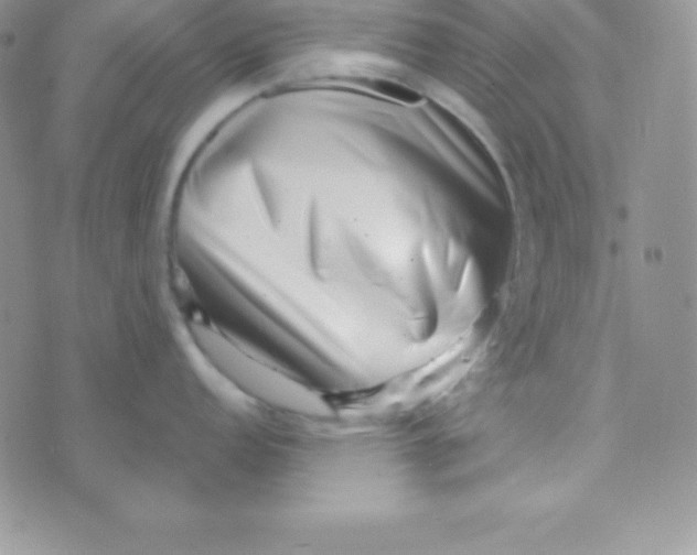 X0000070241152200606231936
