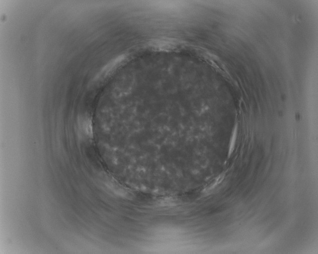 X0000070241155200606231936