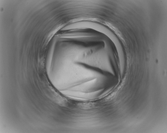 X0000070241185200606231935