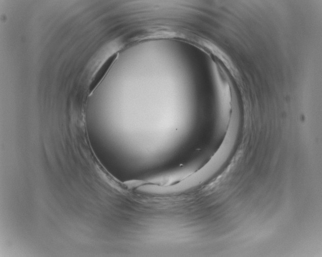 X0000070241193200606231935