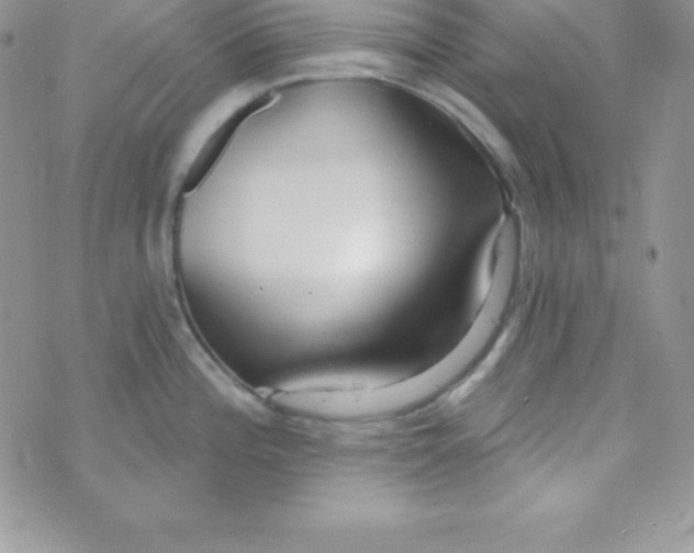 X0000070241196200606231935