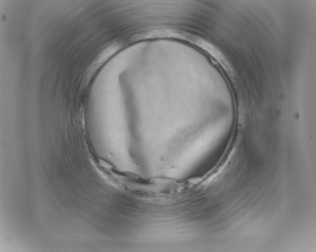 X0000070241241200606231935