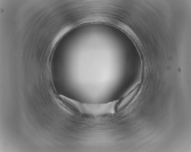 X0000070241242200606231935