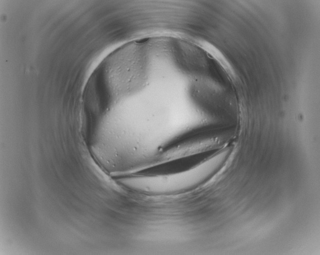 X0000070241244200606231935