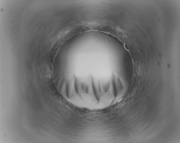 X0000070241253200606231934