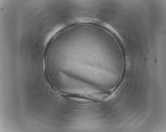 X0000070241269200606231934