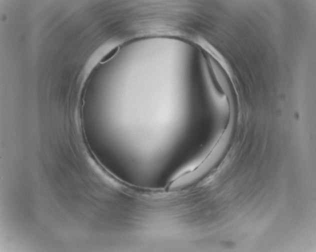 X0000070241293200606231933