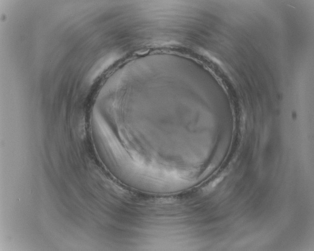 X0000070241306200606231933