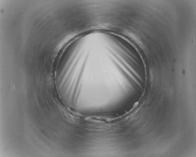 X0000070241308200606231933