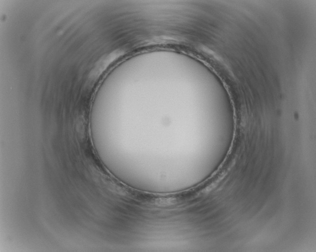 X0000070241313200606231933