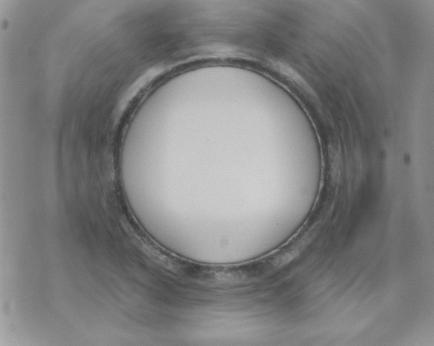 X0000070241318200606231933