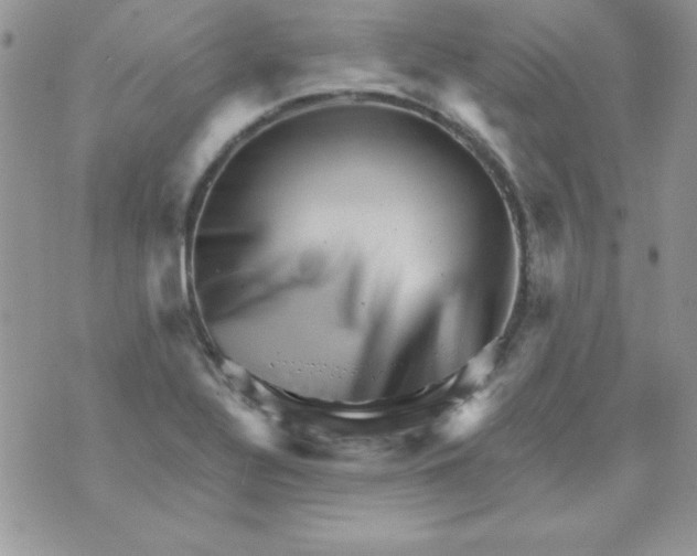 X0000070241320200606231933