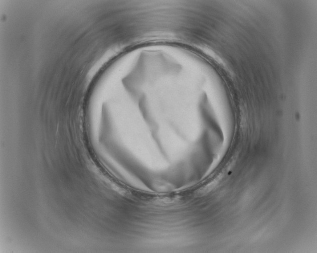 X0000070241325200606231933