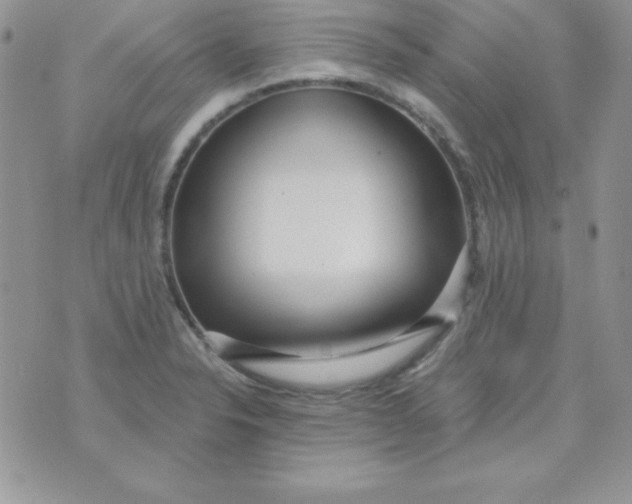 X0000070241326200606231933