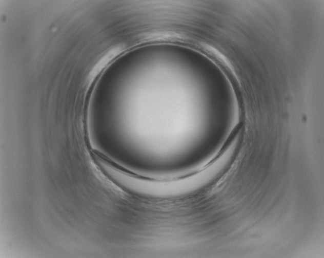 X0000070241330200606231933