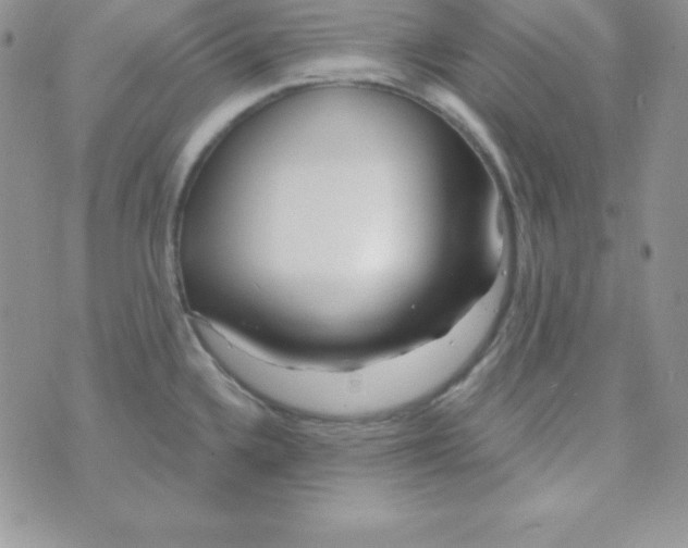 X0000070241336200606231933