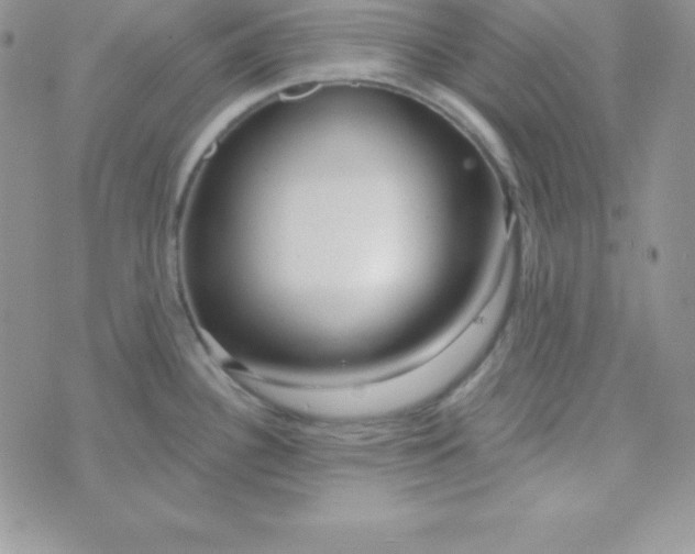 X0000070241340200606231933