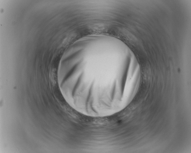 X0000070241346200606231933