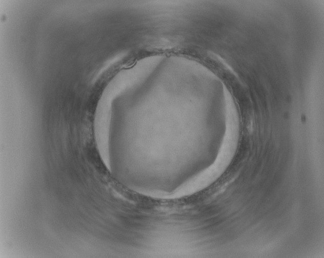 X0000070241350200606231932