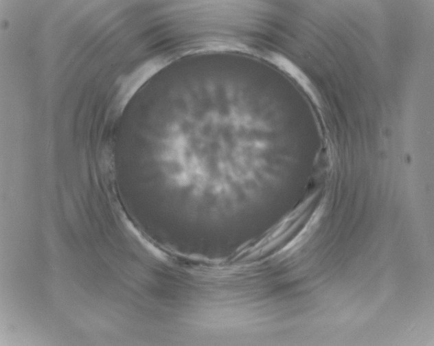 X0000070241385200606231932
