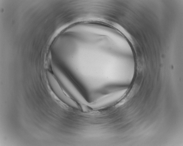 X0000070241388200606231932