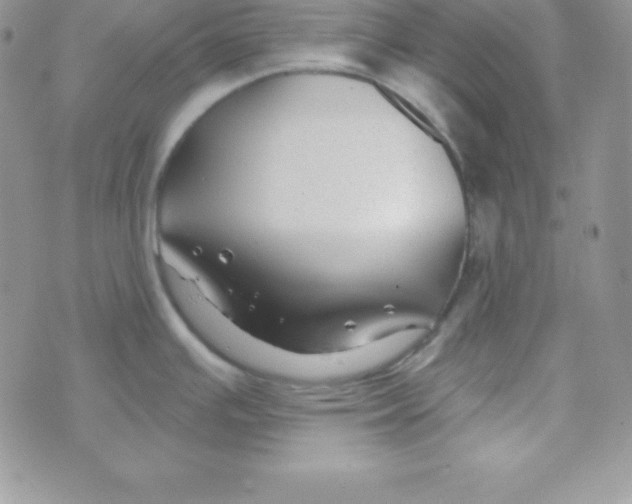 X0000070241391200606231932