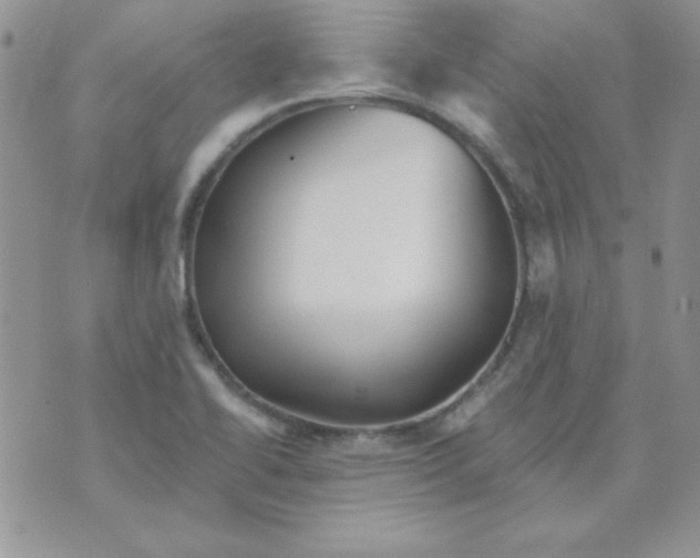 X0000070241414200606231931