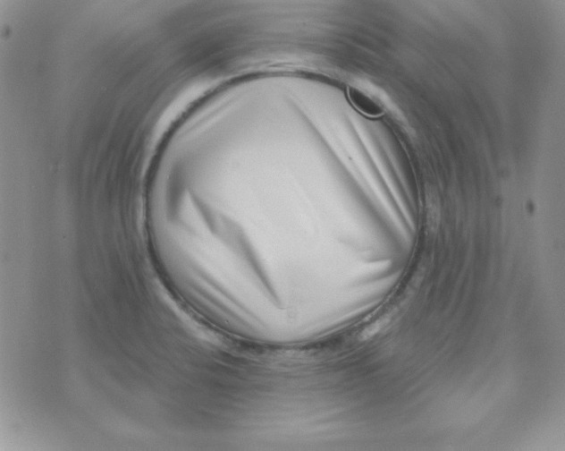 X0000070241424200606231932