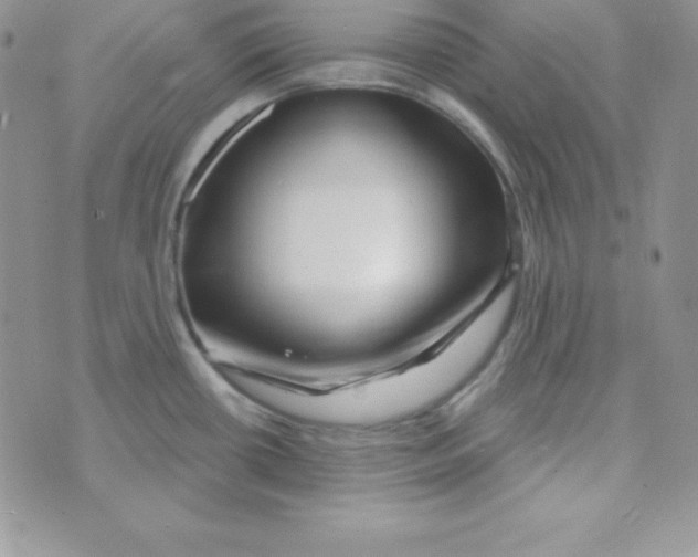 X0000070241434200606231932