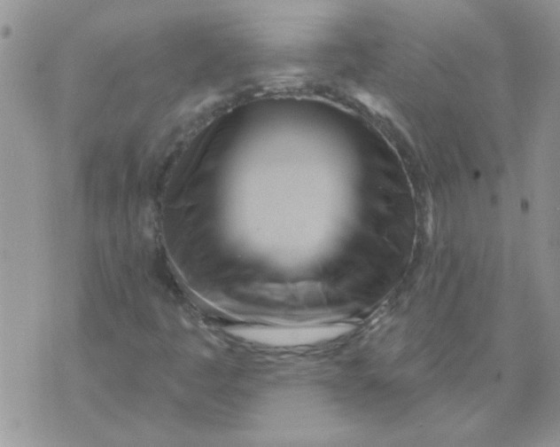 X0000070241445200606231931
