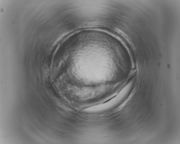 X0000070241449200606231931