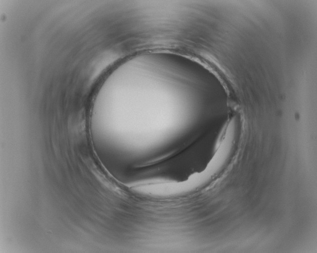X0000070241450200606231931
