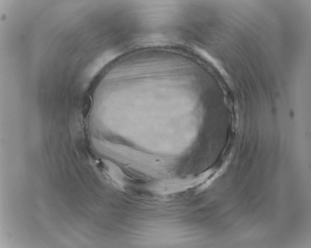 X0000070241453200606231931