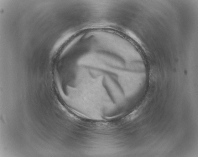 X0000070241456200606231931