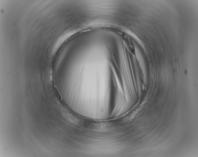 X0000070241461200606231931