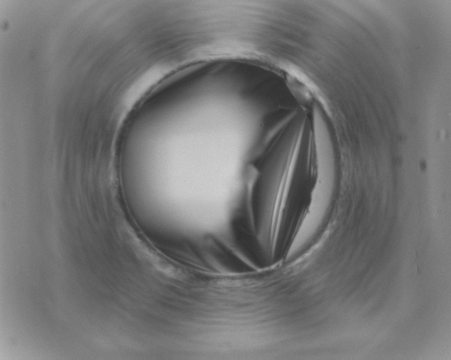 X0000070241469200606231931