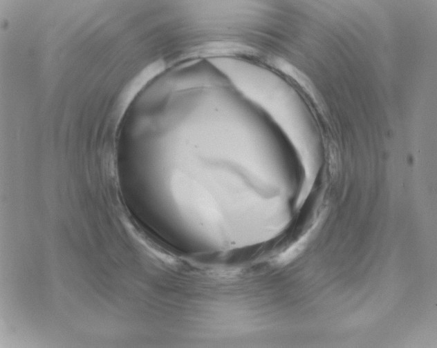 X0000070241473200606231931