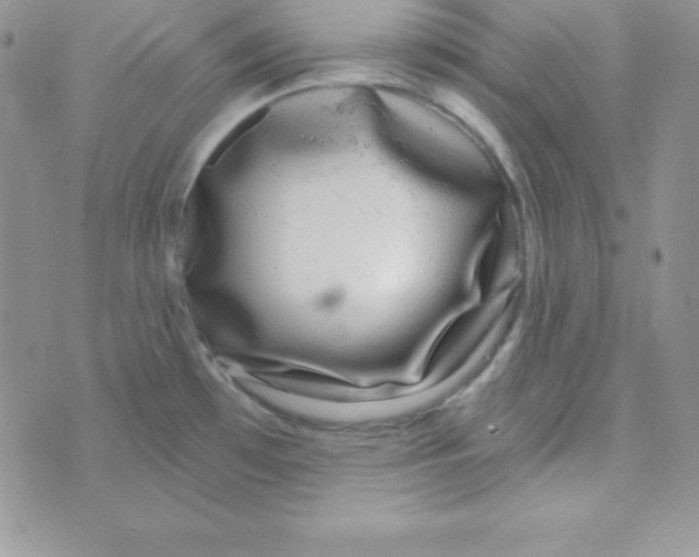 X0000070241481200606231930
