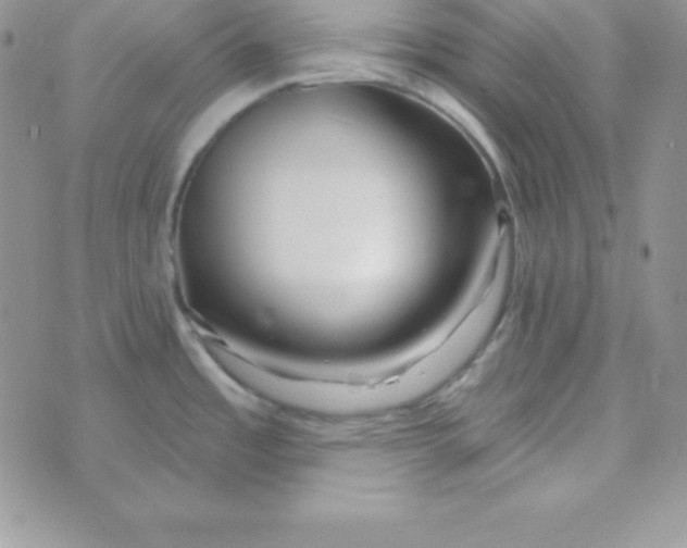 X0000070241485200606231930